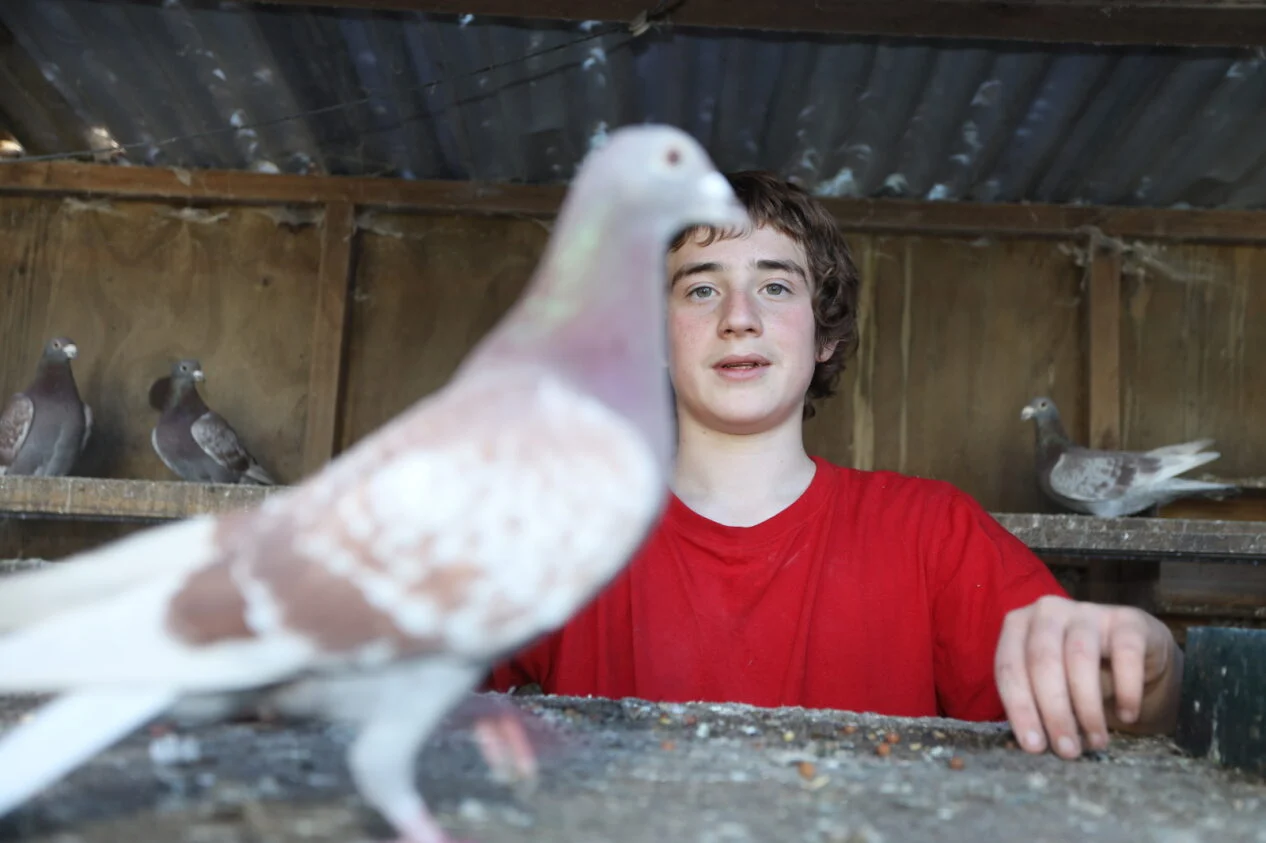 Nelson teen targets poultry show ribbons