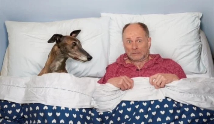 Social Animal brings rescue greyhound story to Nelson