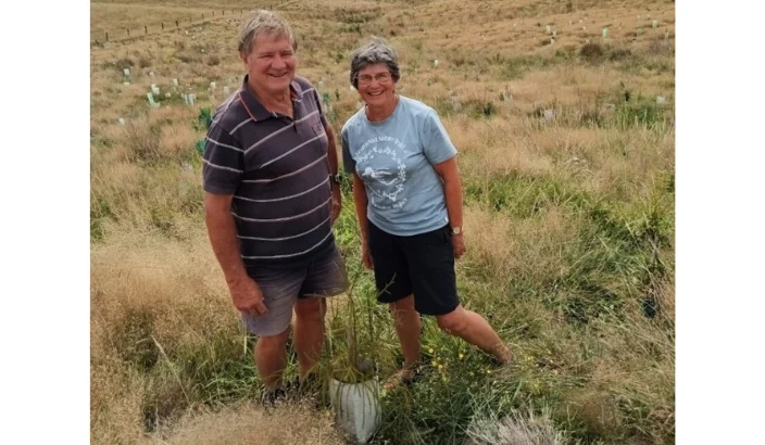 Recloaking the Moutere, one gully at a time