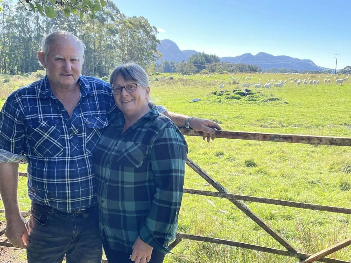 Fifty years of grit, growth and partnership on pakihi land