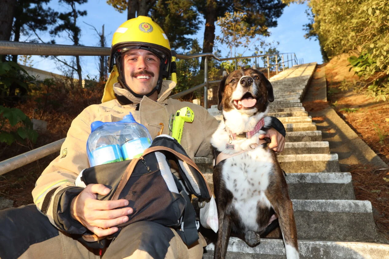 Firefighters train for Sky Tower Challenge