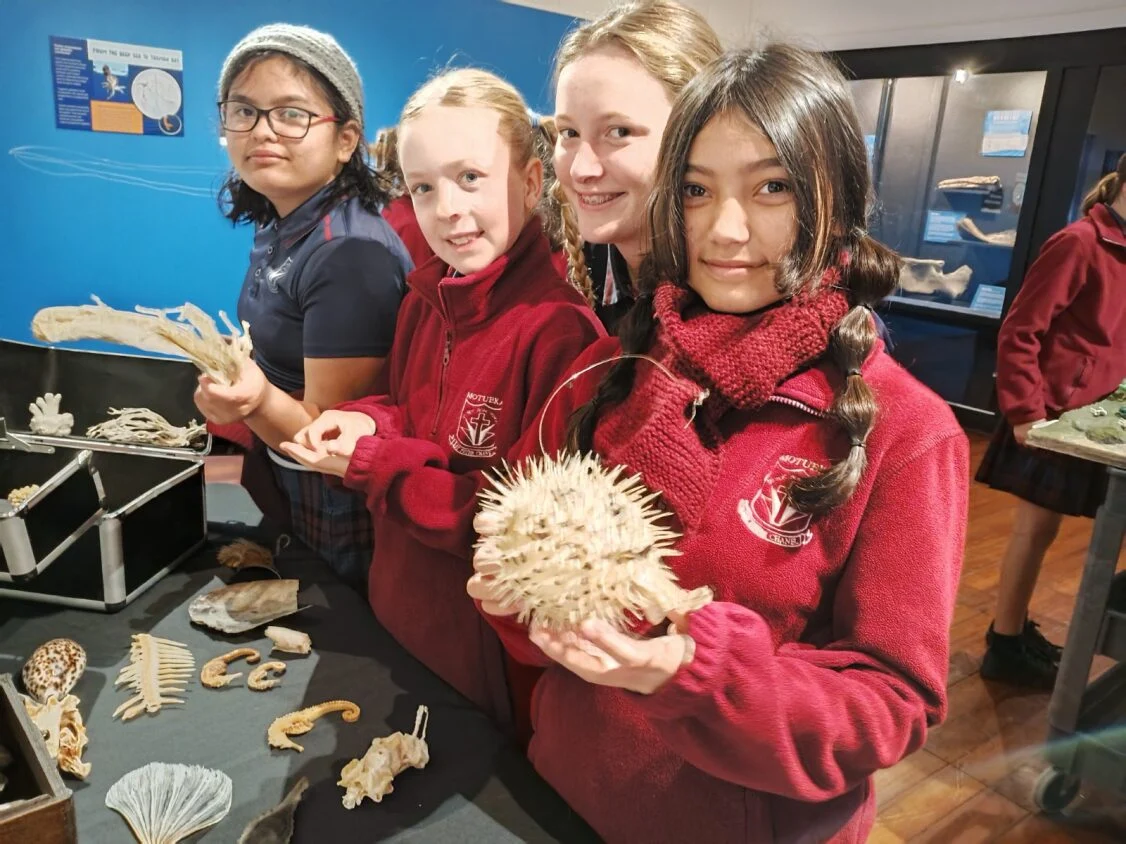 Colossal squid exhibition Motueka