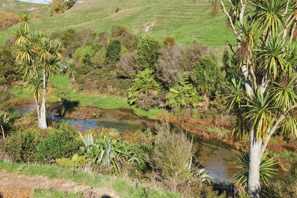 On-farm changes linked to better water quality