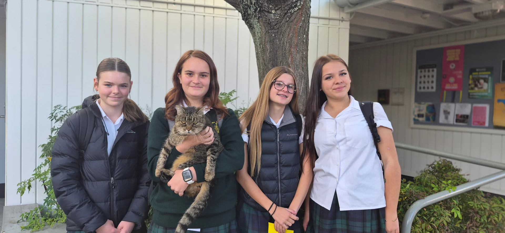 Dribbling tabby wins hearts at school