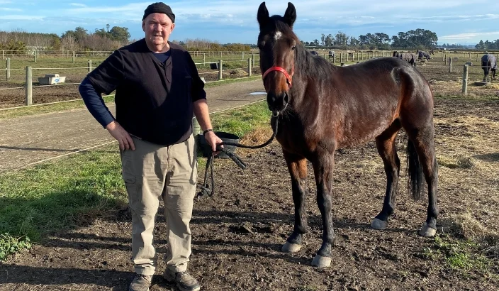 Former Golden Bay dairy farmer back on track