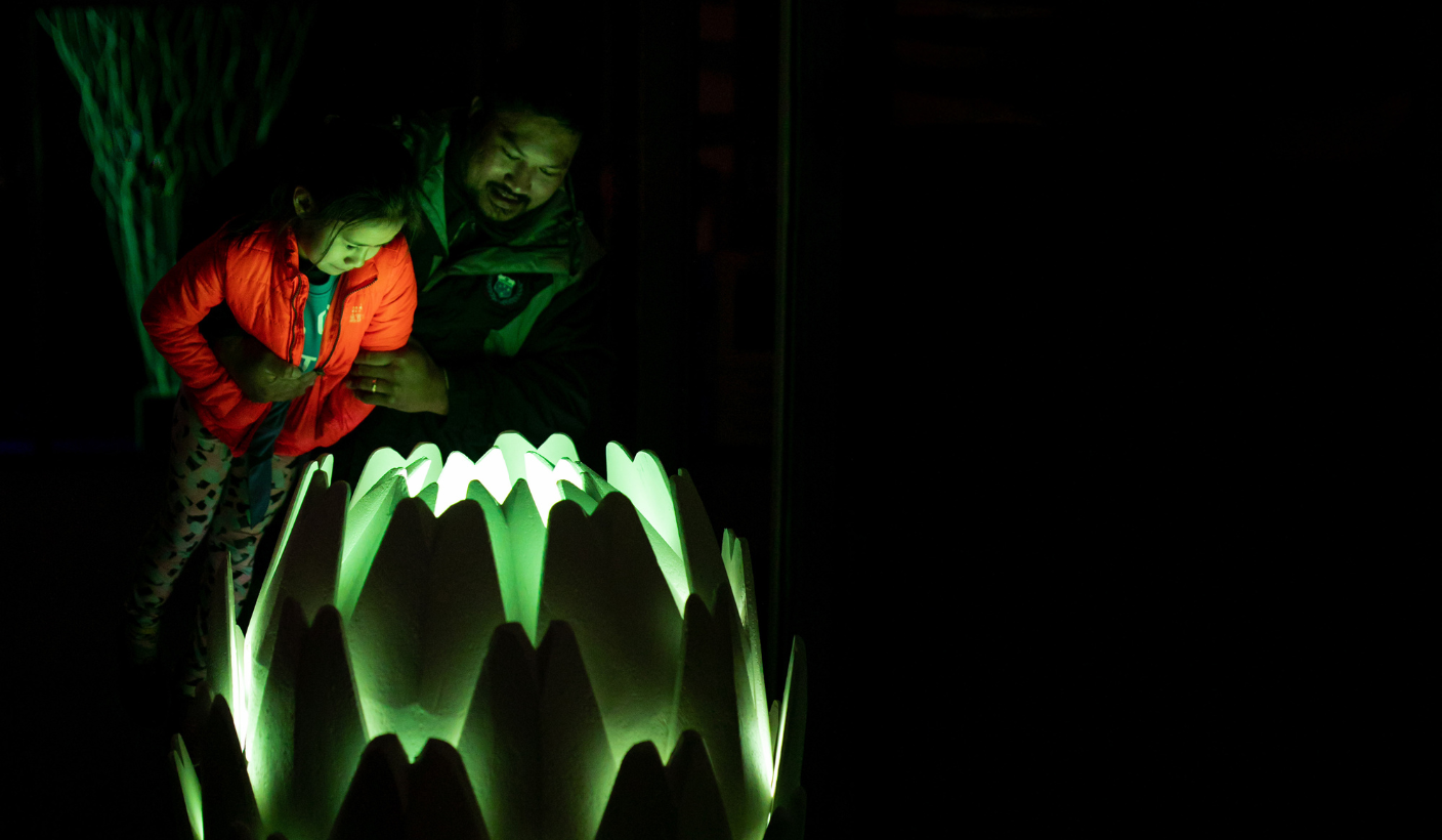 Shining creativity in the midwinter night