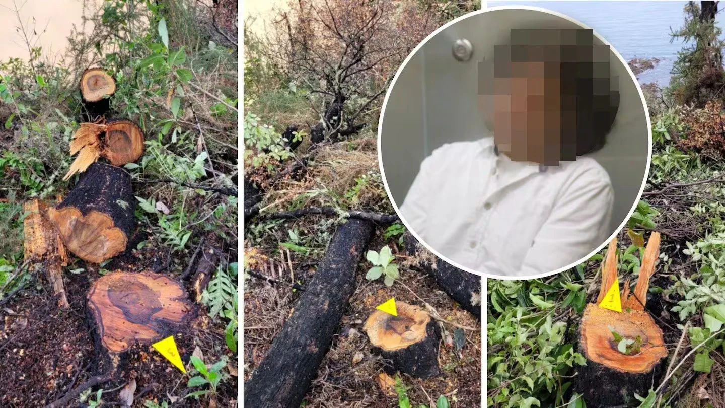 Retired developer named after cutting protected trees near Kaiteriteri