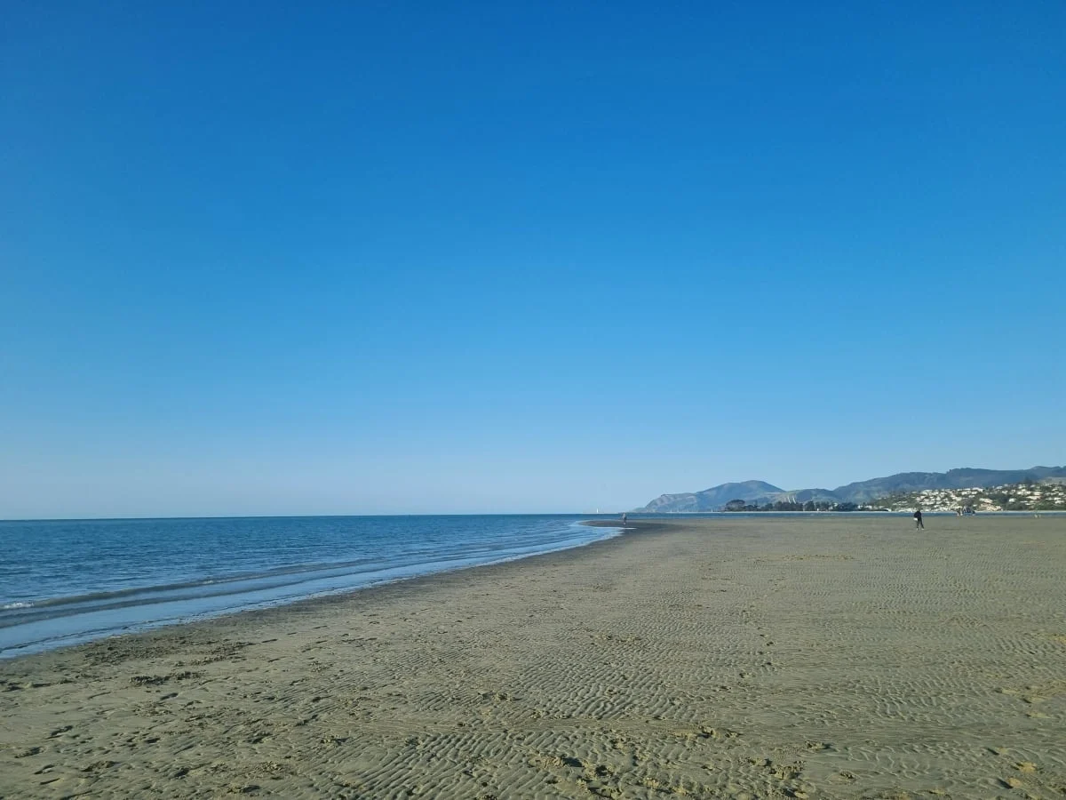 Dog owners warned to stay away from fatbergs on Nelson beach