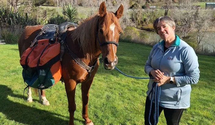 Horses haul groceries after road washout