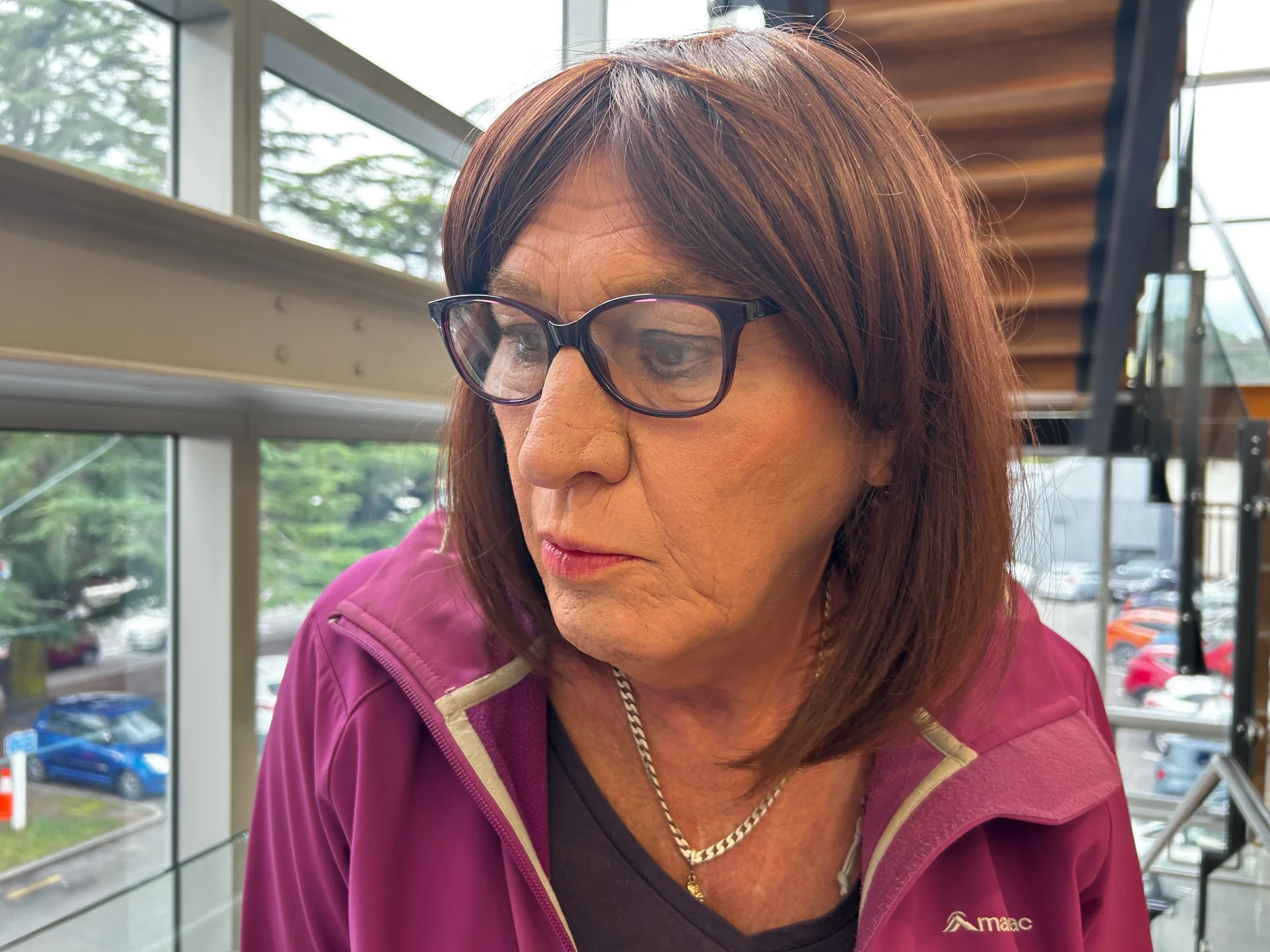 Nelson mechanic Marie Hearn sentenced to home detention for shooting colleague’s cars