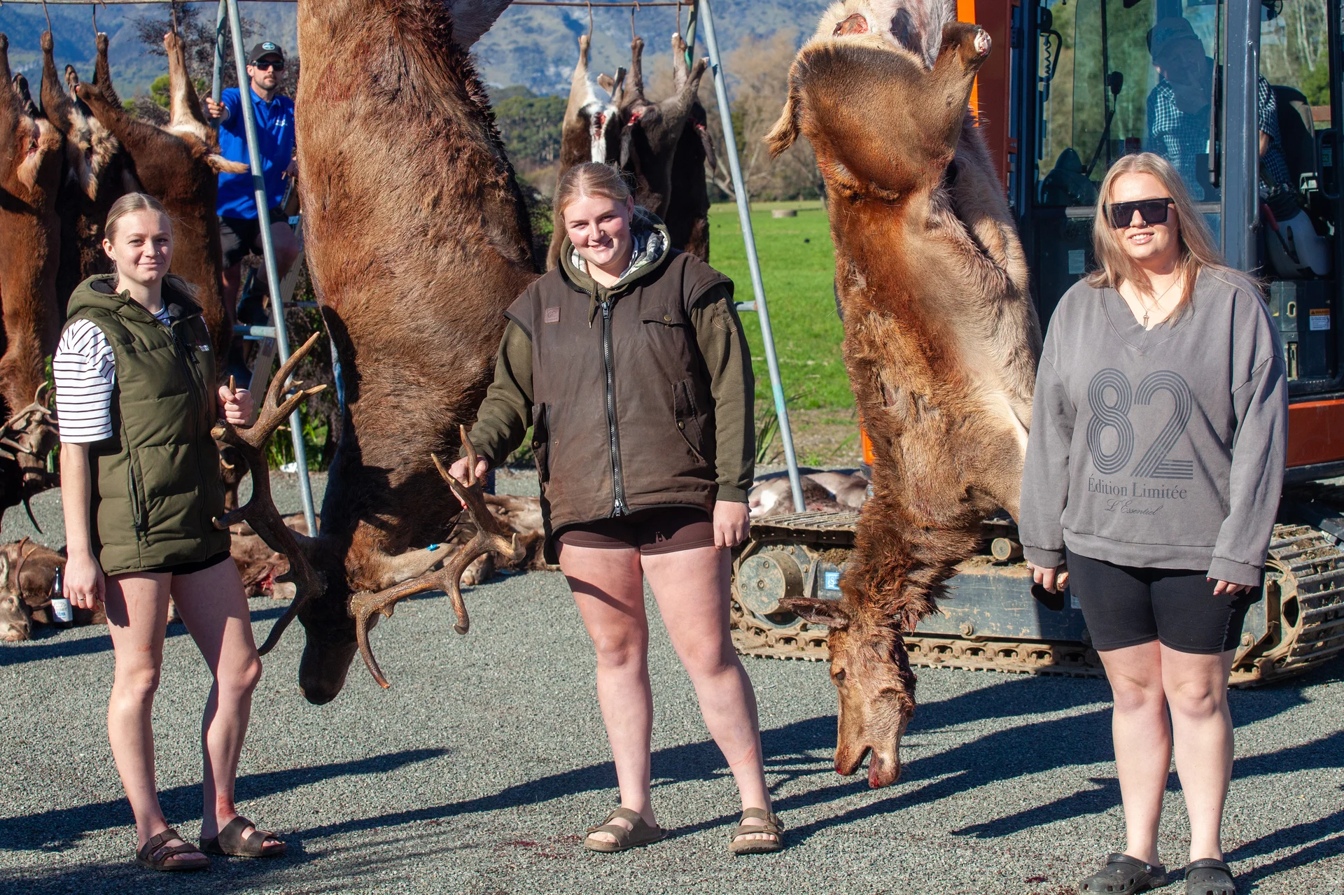 Moonlight hunt targets smashed again