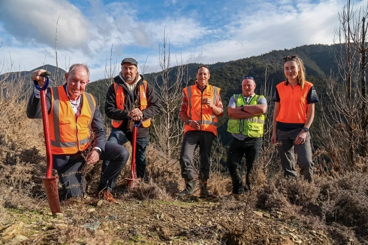 Nelson awards forest restoration contract