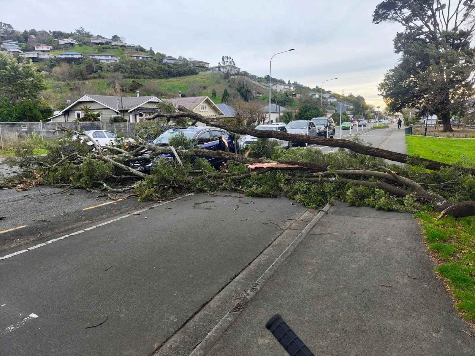 Heavy rain warning as strong winds batter Nelson region