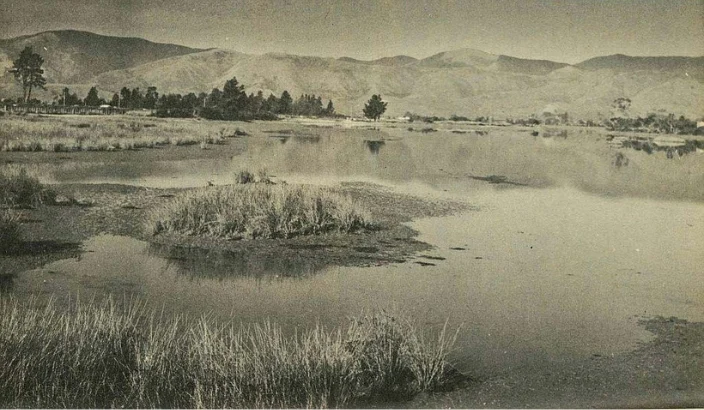 Rough Island’s forgotten fishermen and buried treasure