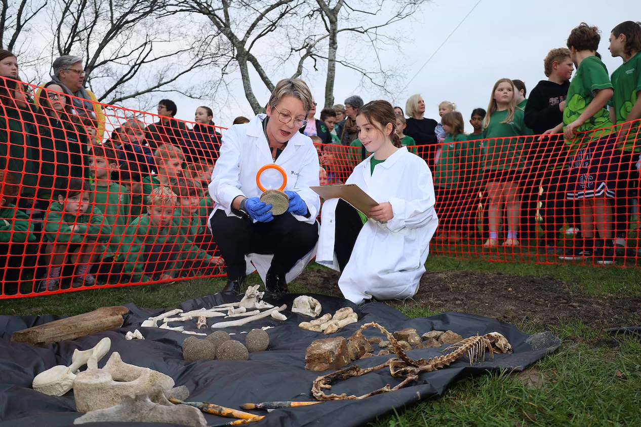 Dinosaur discovery sparks school imagination