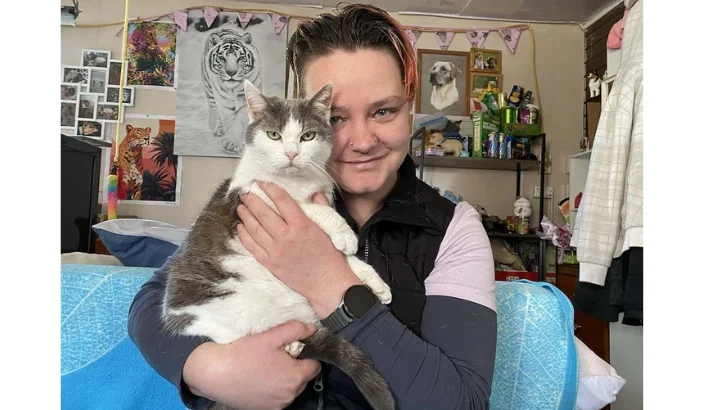 Cat rescuer brings closure to families