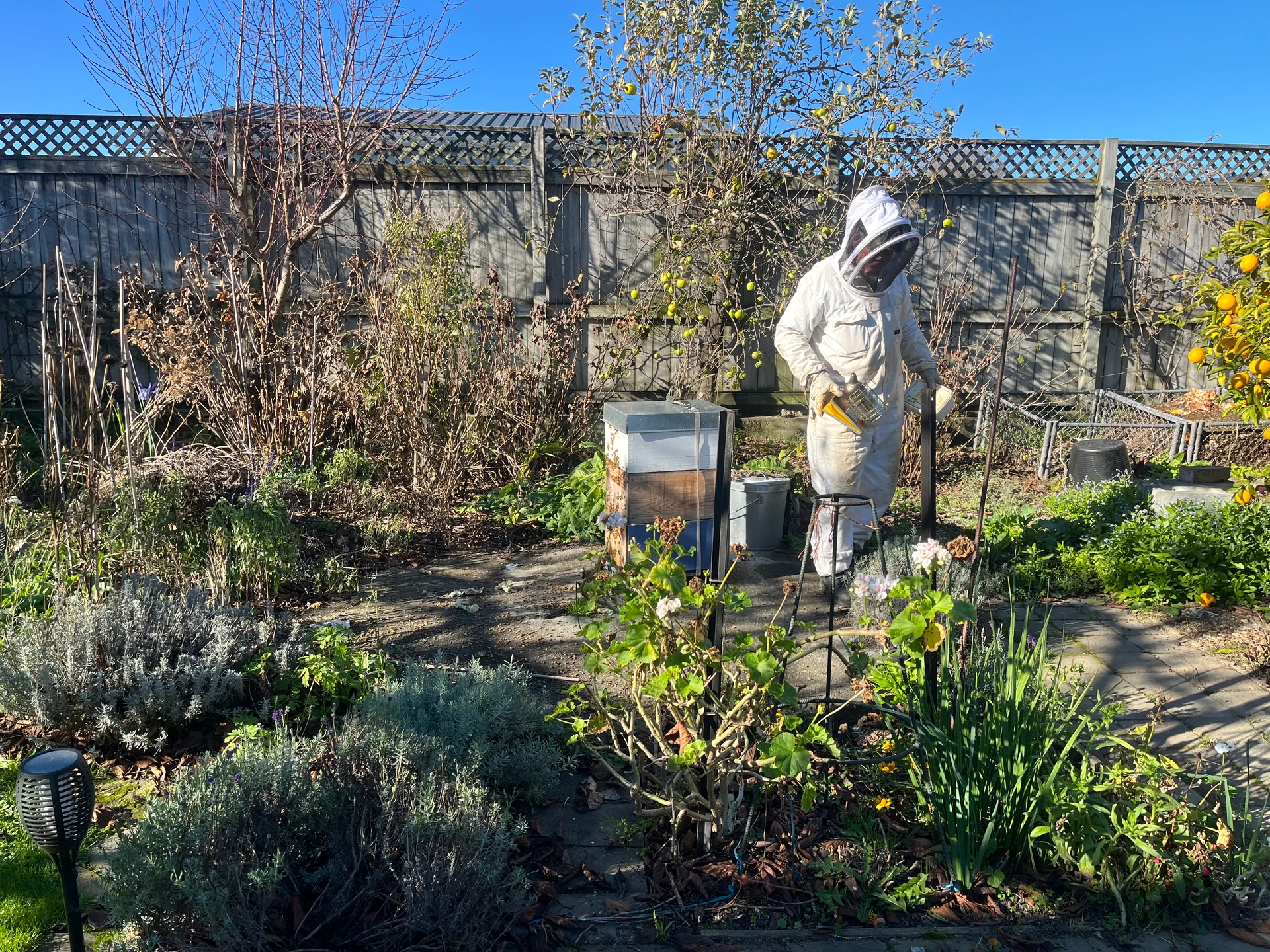 New beekeeping body faces industry test