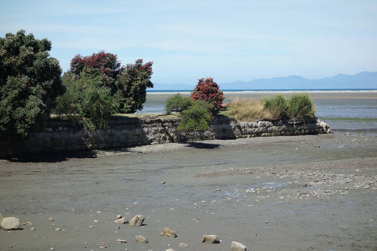 Motueka wharf tree removal approved