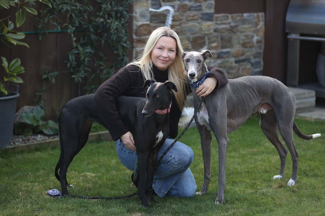 Local owners promote retired greyhound adoption