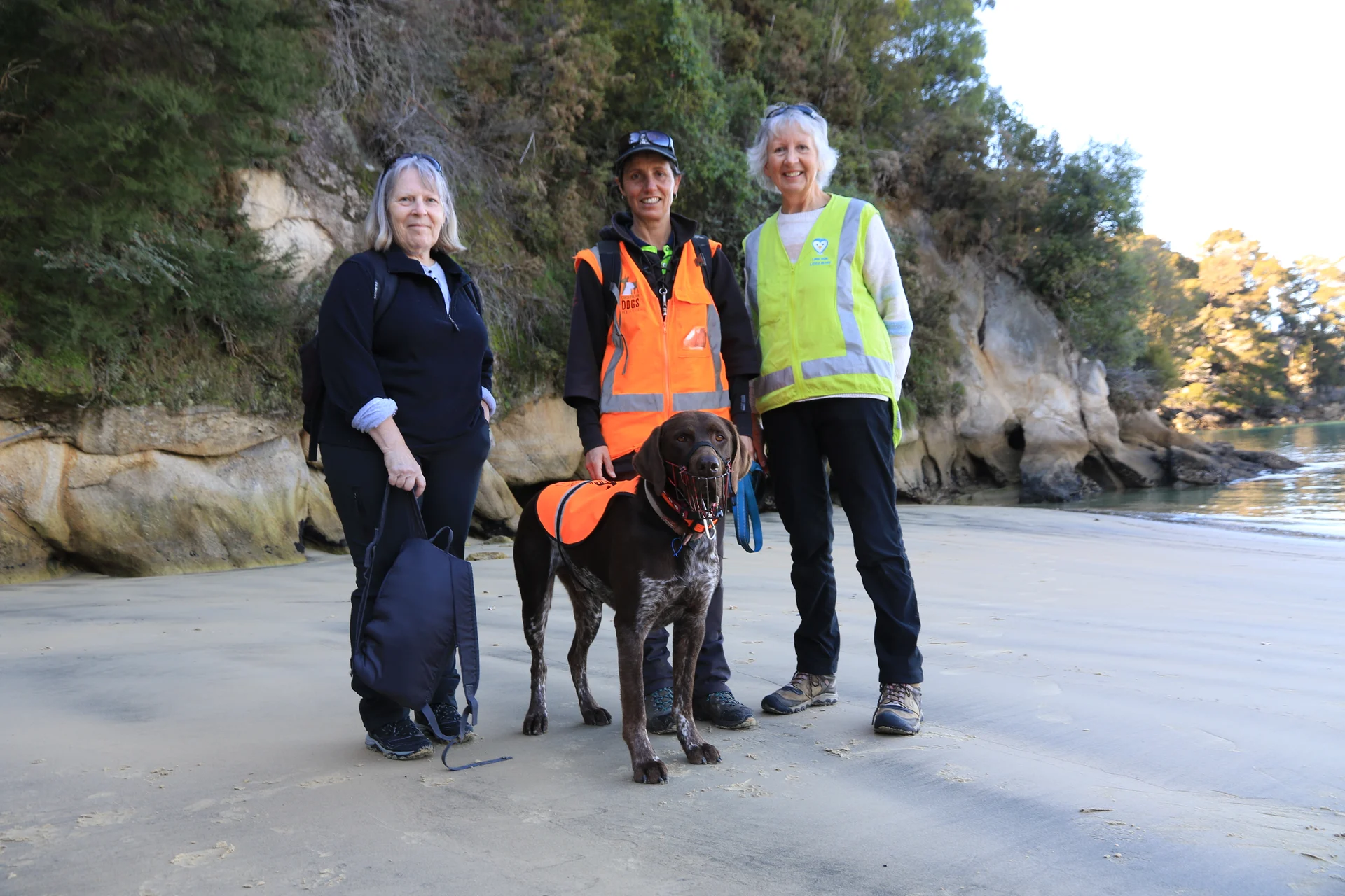 Conservation dog finds Kaiteriteri penguin burrows