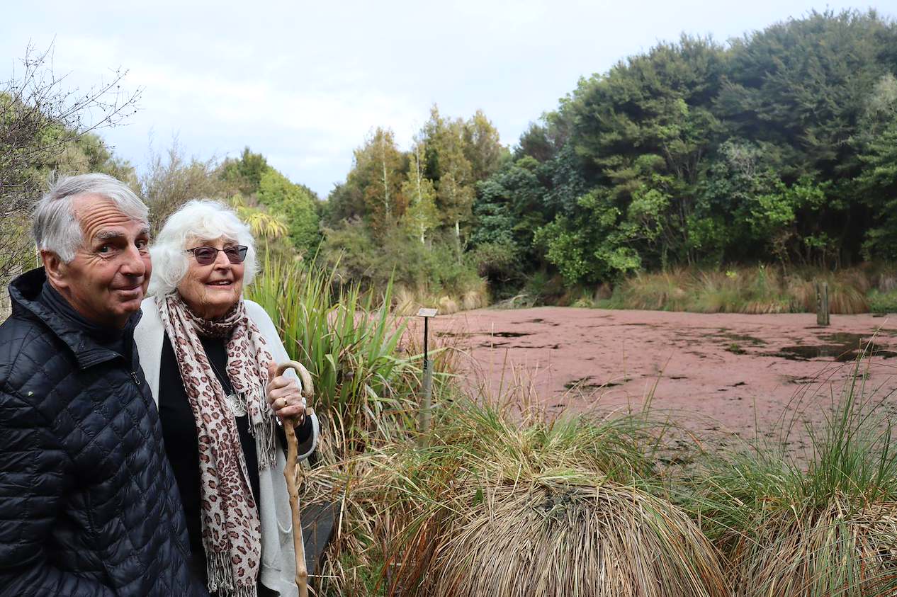 Māpua wetland restoration boosts birds and plants