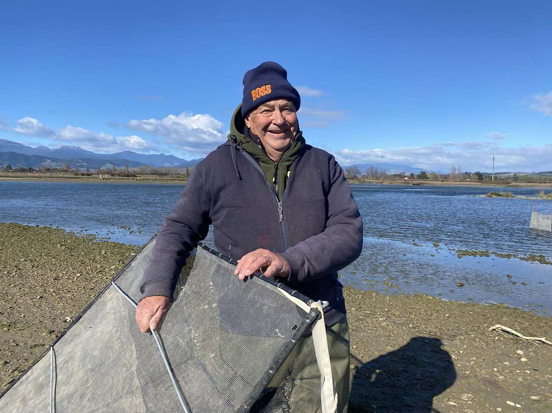 Whitebaiting beats mowing lawns