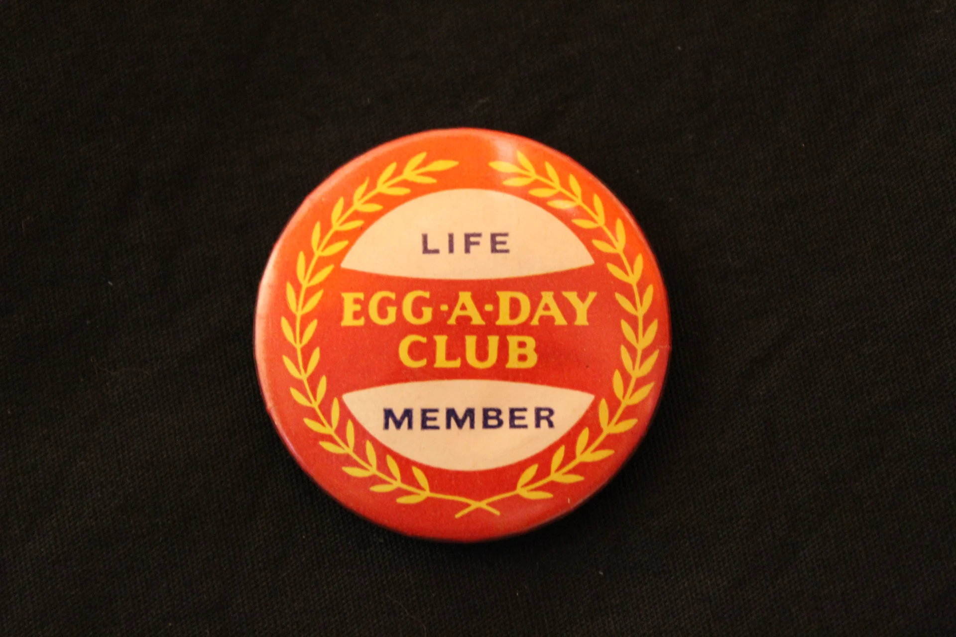 Curator’s Choice: Egg-a-Day Club badge