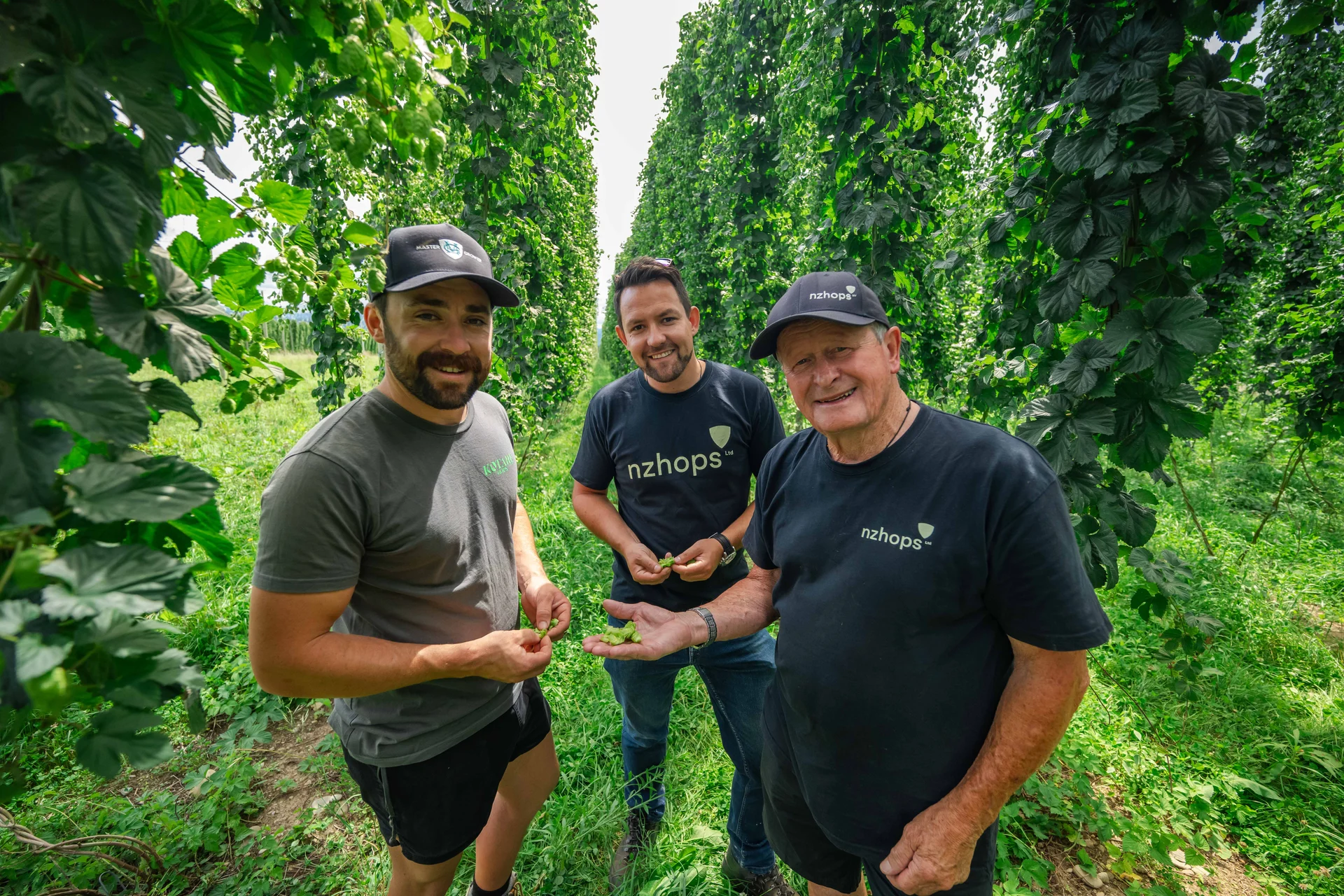 Tasman hop growers prepare for El Niño