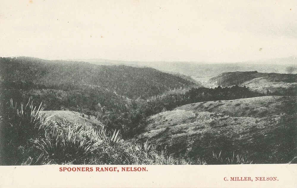 History of Spooners Range road