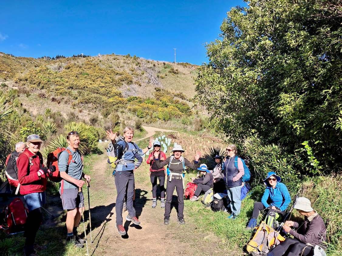 Motueka walking group steps out for fitness and friendship