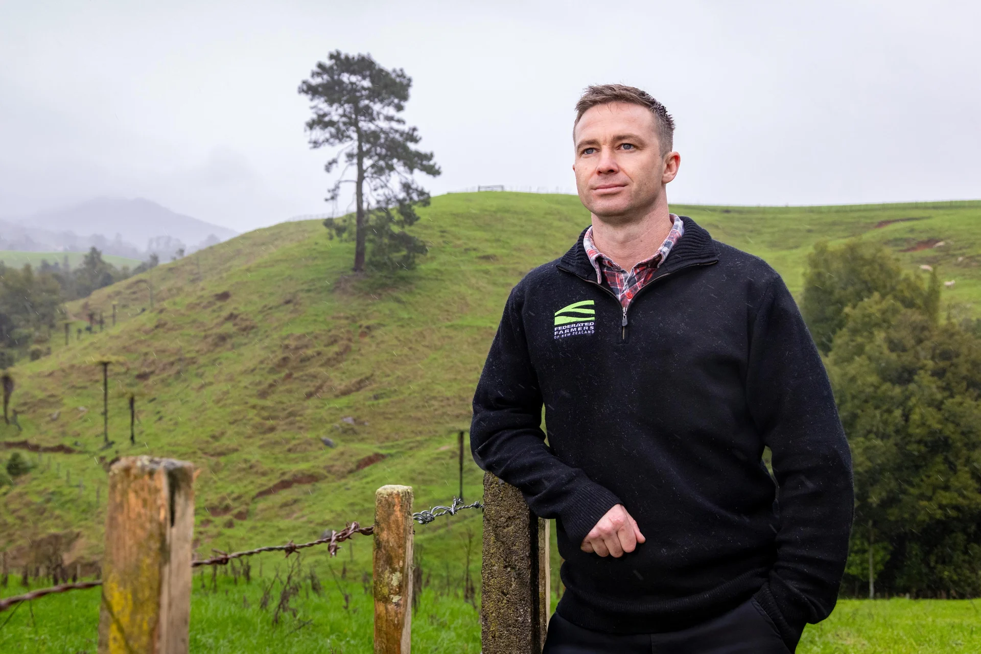Wild deer and goats targeted with funding