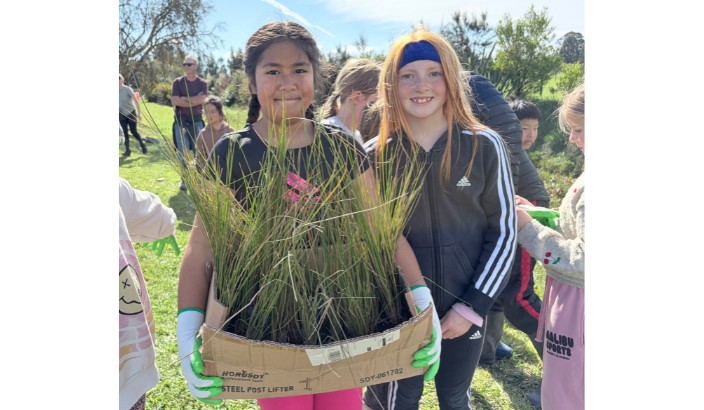 Motueka students improve whitebait spawning habitat