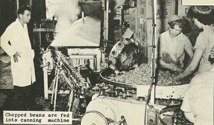 Motueka factory fed Pacific troops