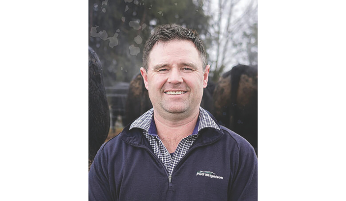 Strong confidence for spring bull sales