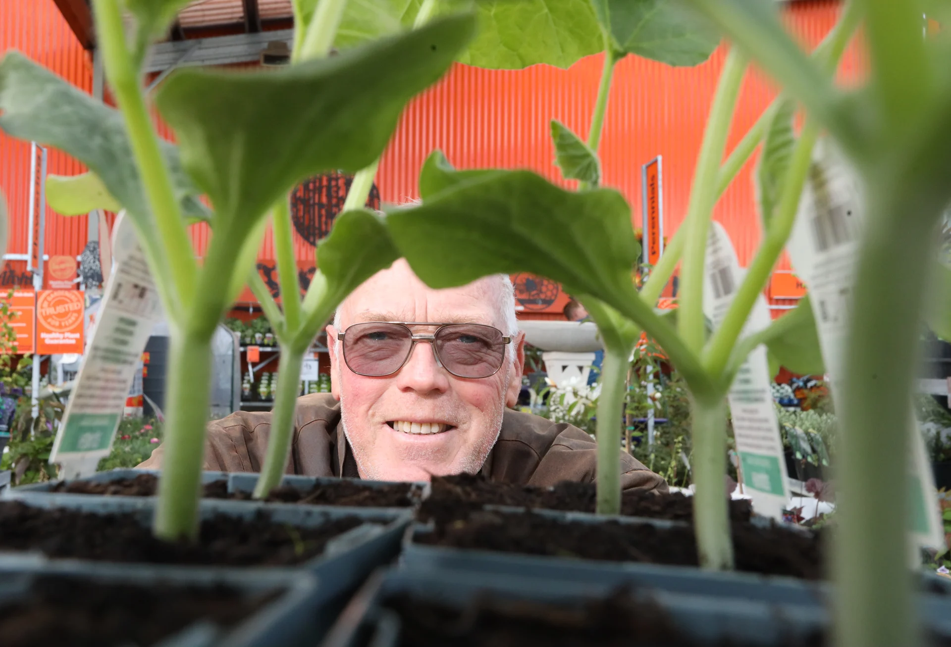 Motueka giant pumpkin growers urged to start