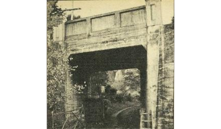 Annesbrook railway crossing deaths sparked bridge
