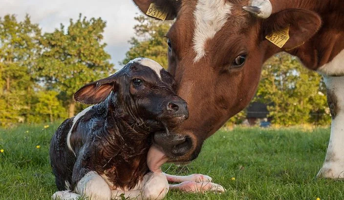 Rural news in brief