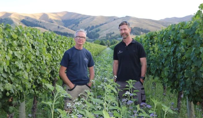 Row plantings reclaiming soil health