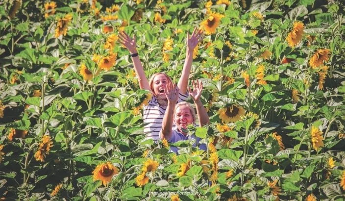 Flower business blooms in South Marlborough