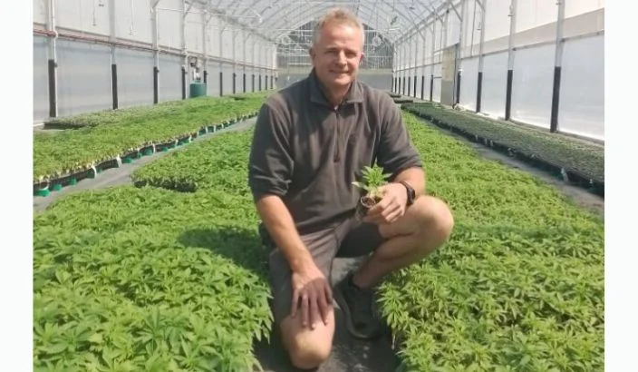 Organic medicinal cannabis a budding success