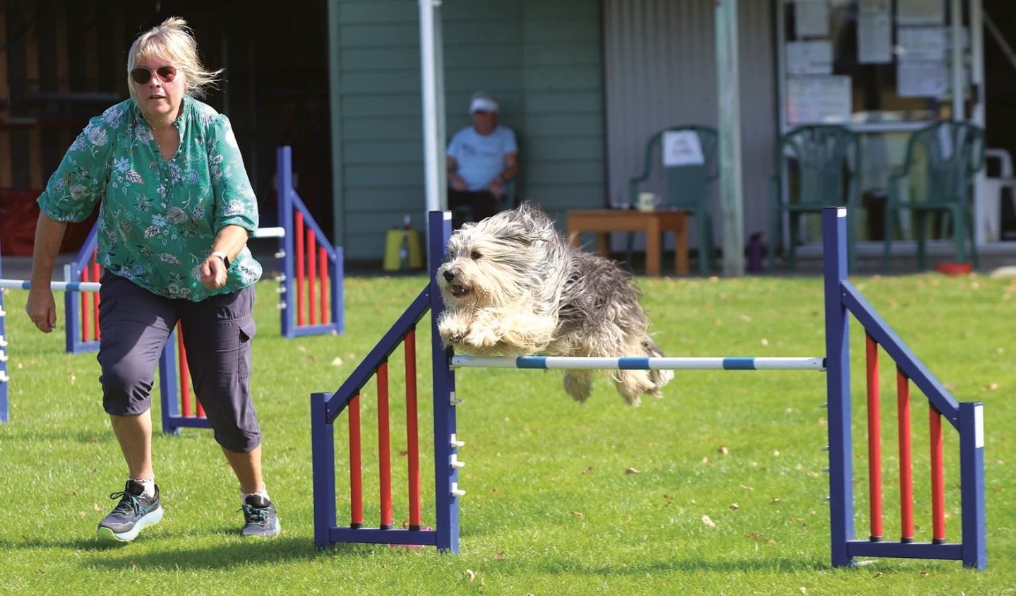 One giant leap for dogkind