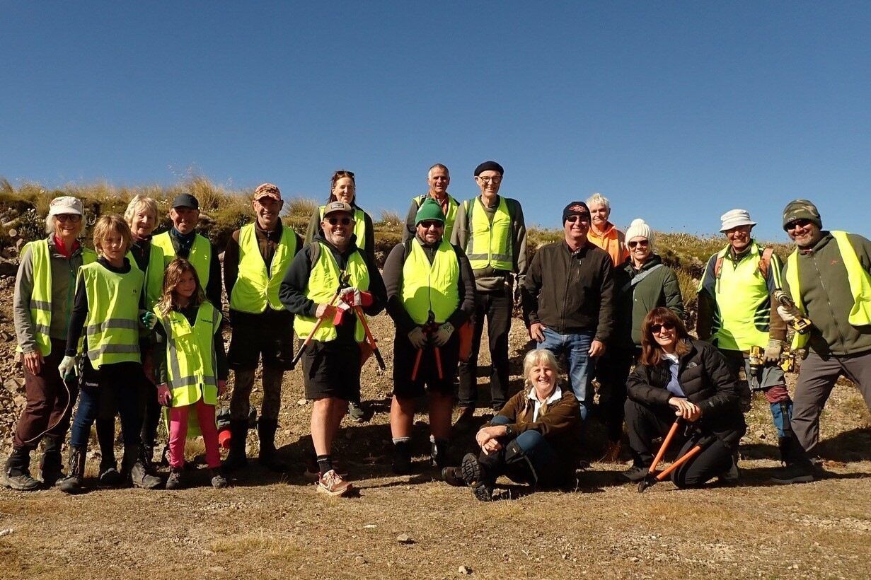Volunteers tame South Marlborough wilds