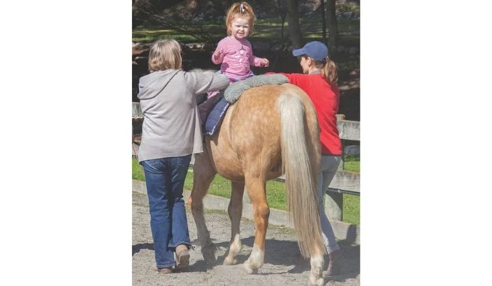 Sponsored: Horses changing lives
