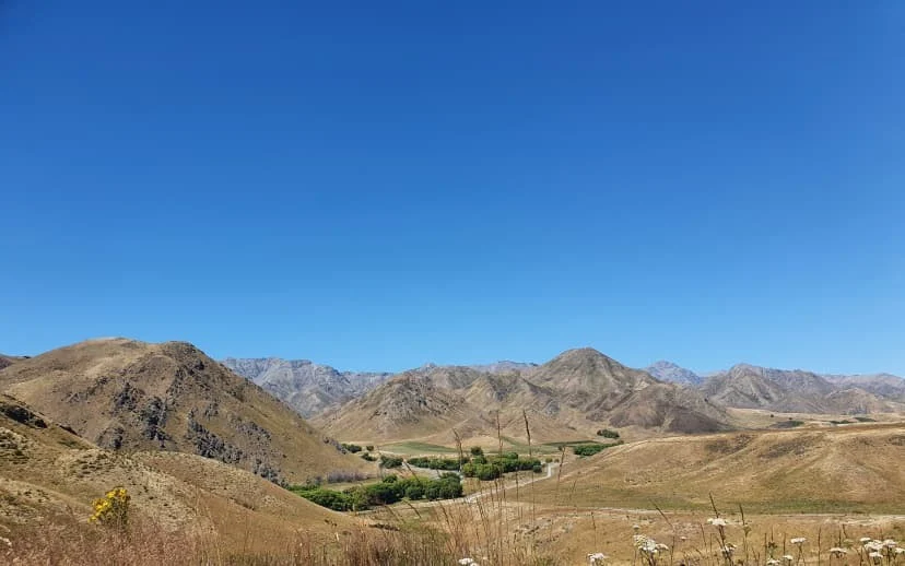 Ngāi Tahu Farming chosen to operate country's largest farm, Molesworth Station