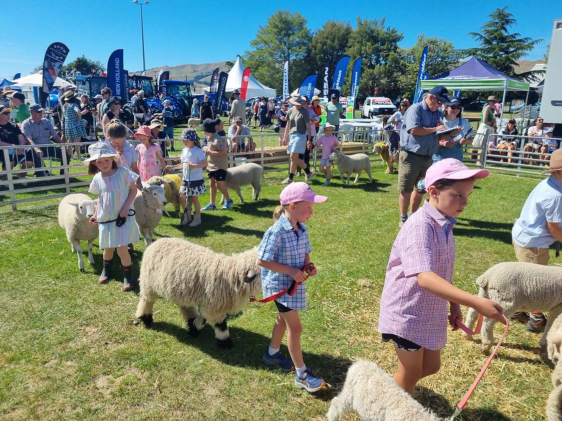 Entries open for Marlborough A&P Show