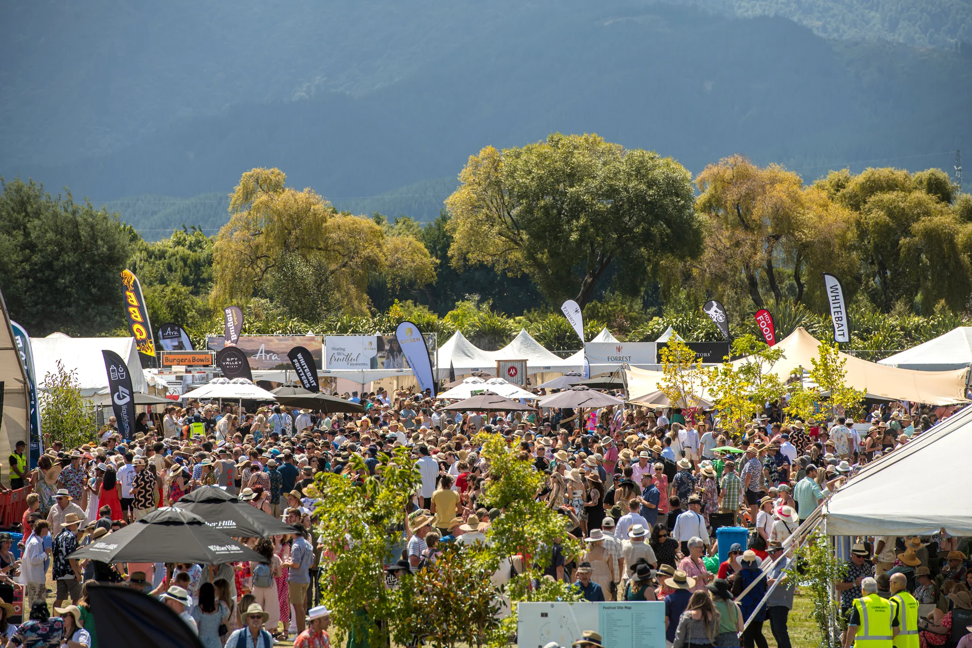 Marlborough Wine & Food Festival put on hold