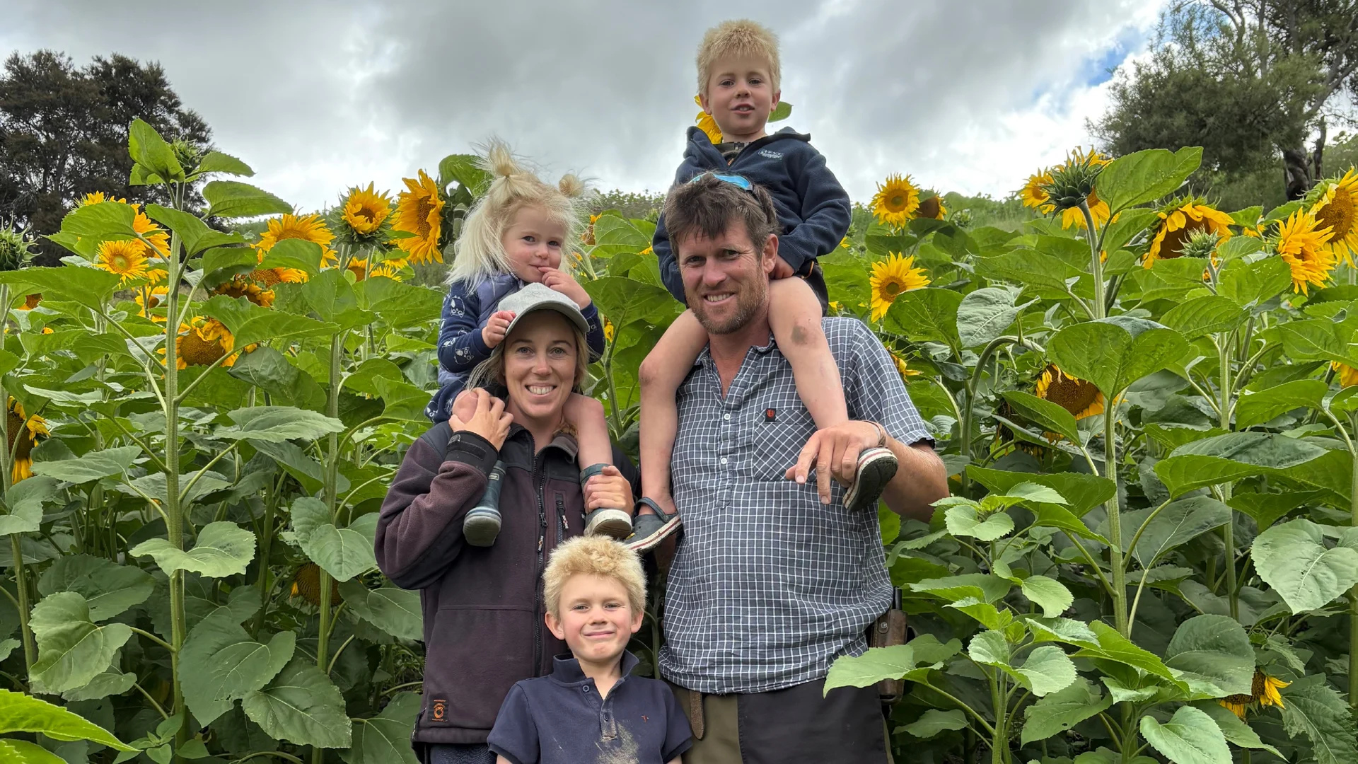 Marlborough farm blooms with flower business