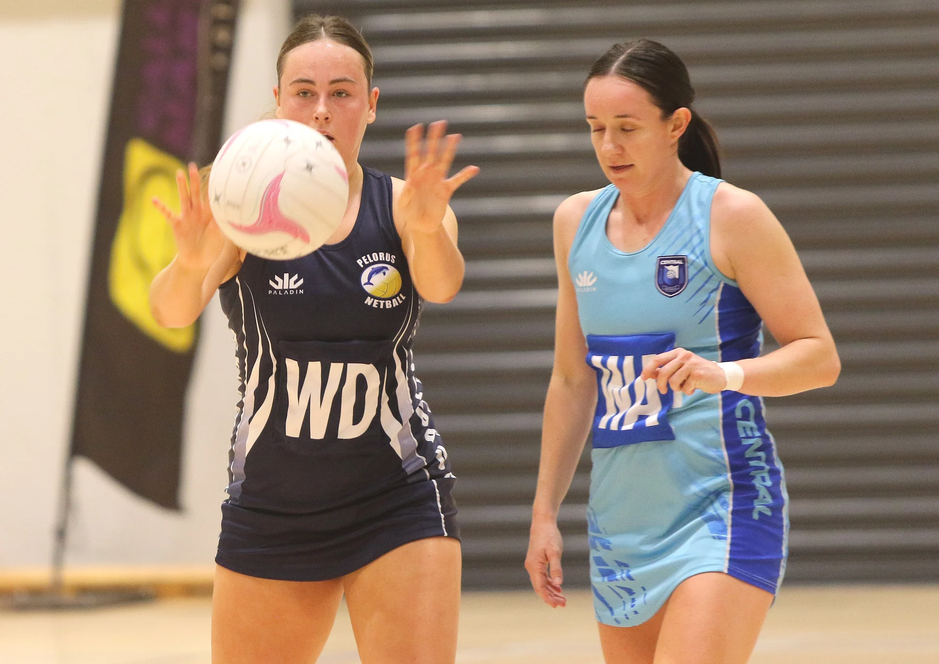Pelorus v Quins in netball final