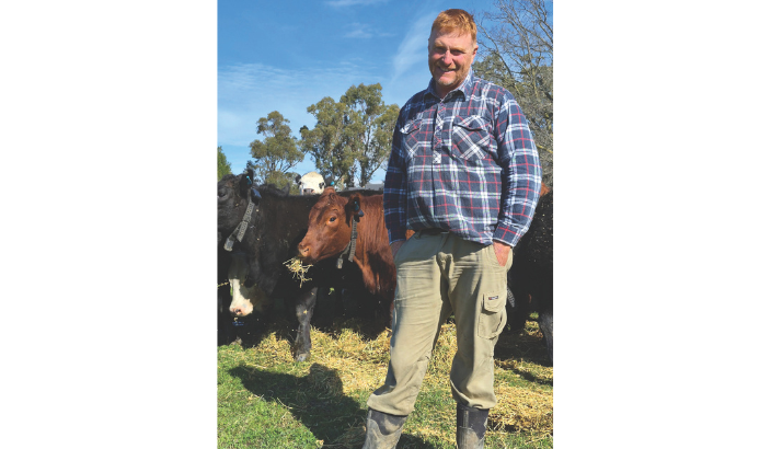 Seddon farm embraces satellite tech