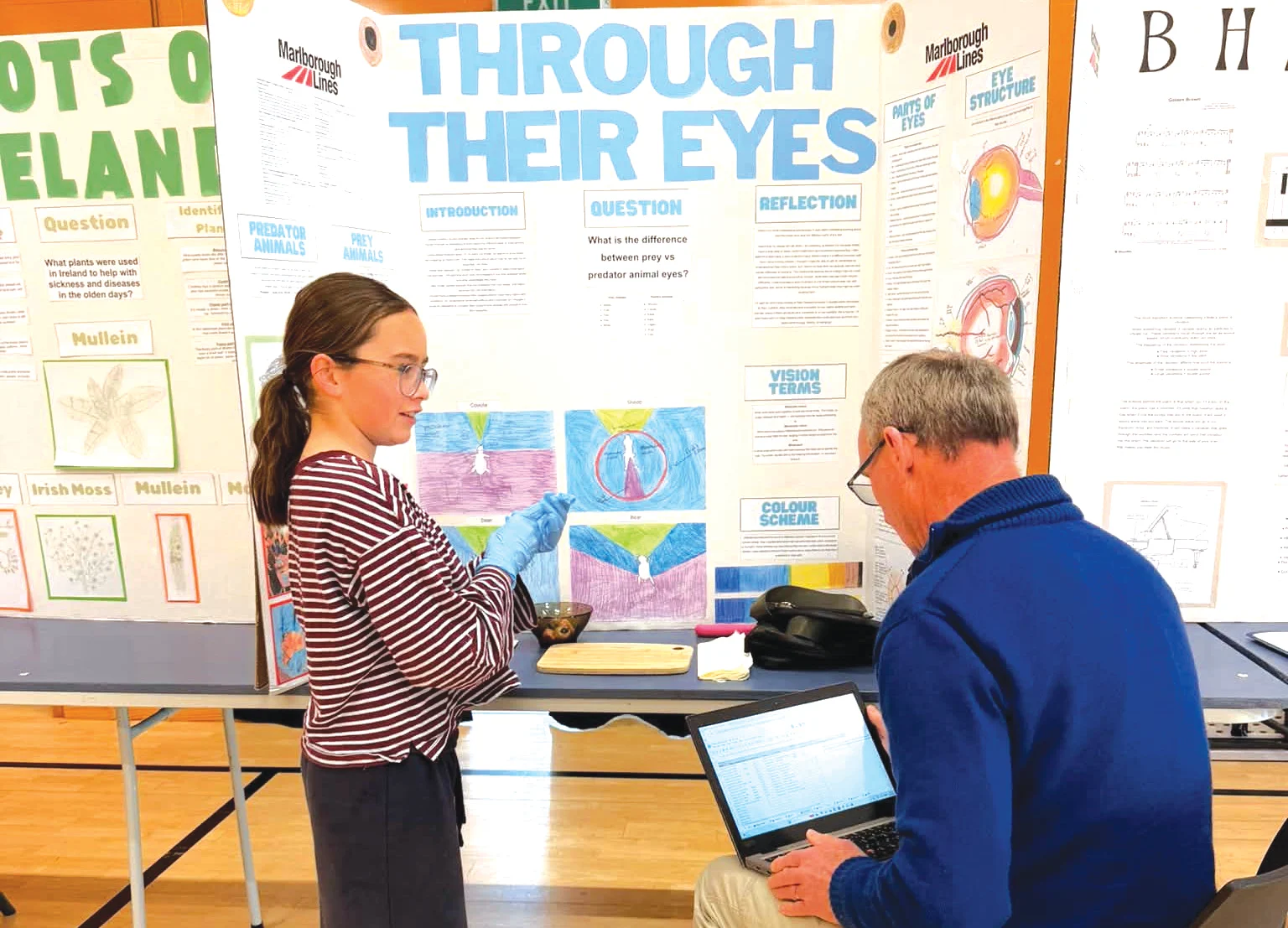 Science fair sparks curiosity in Marlborough students